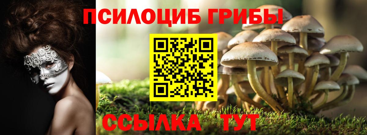 Псилоцибиновые грибы Cubensis  Вход с VPN  Трёхгорный 